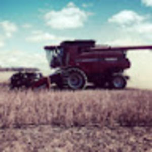 Meet your Posher, Lindsay